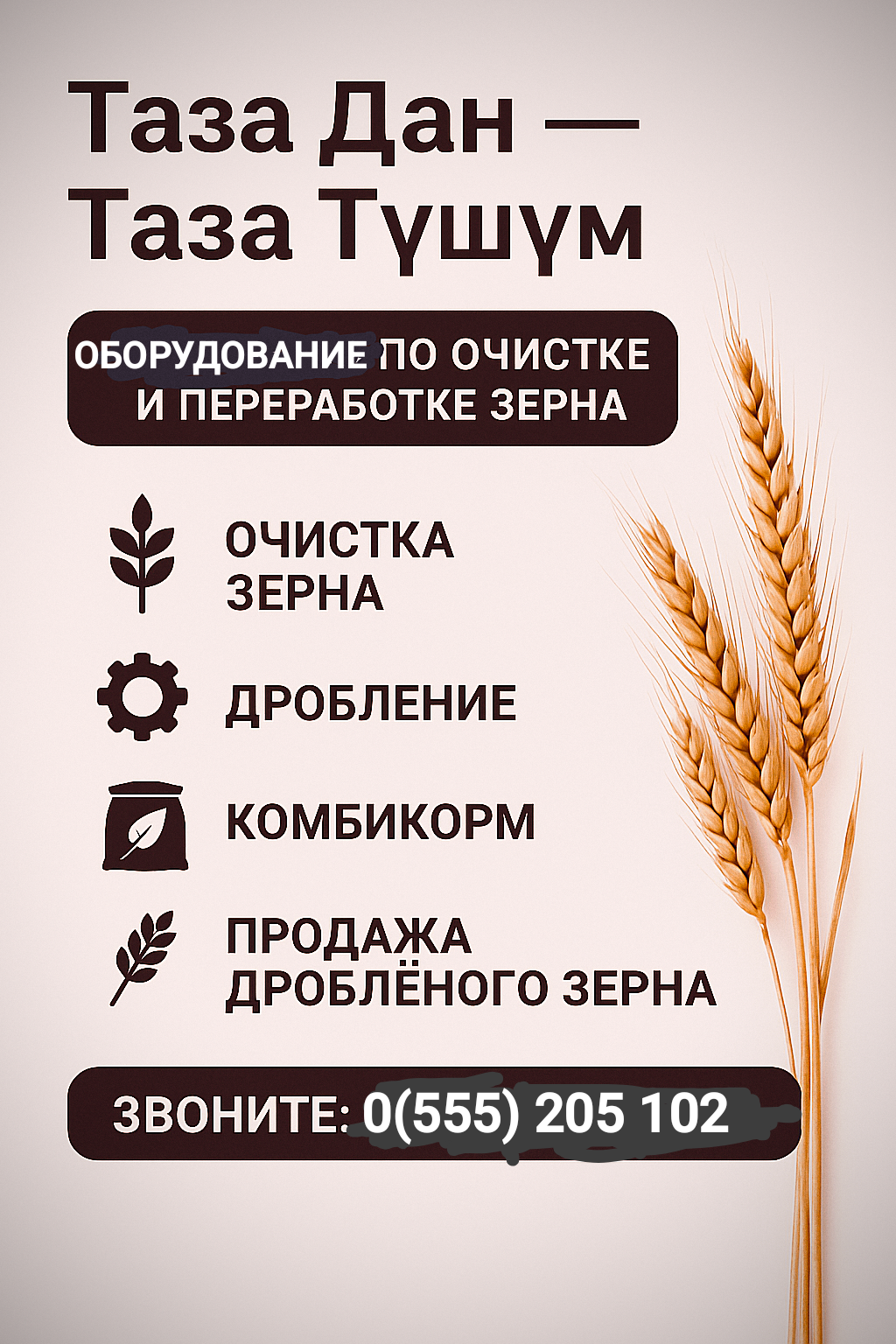 ИП Бейшеналиев К.Э