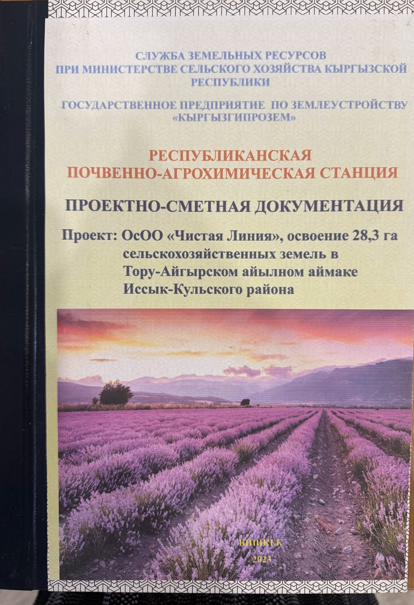 ОсОО Чистая линия