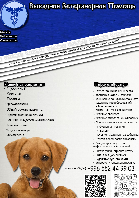 ИП Екимовский