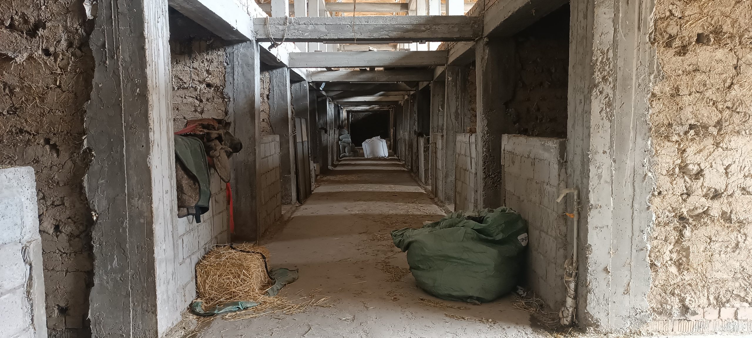 Загон Коров